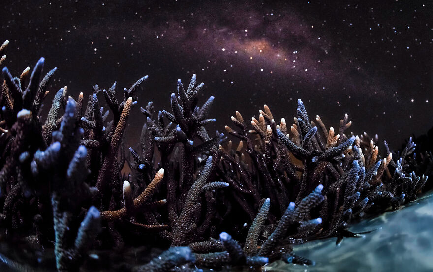 Nominee: Exploration Photographer Of The Year