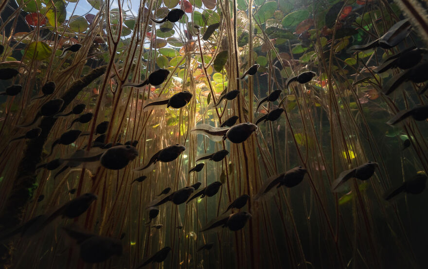 Nominee: Exploration Photographer Of The Year