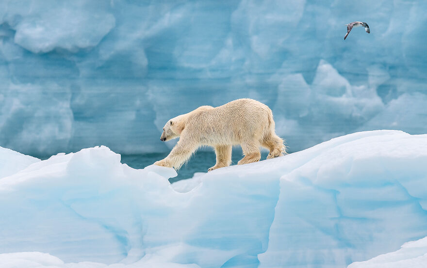 Nominee: Exploration Photographer Of The Year