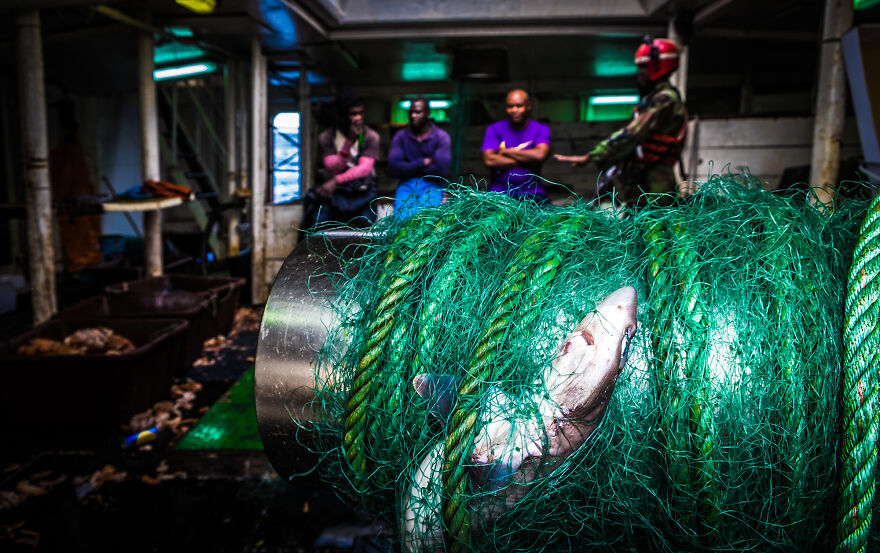 Nominee: Conservation Photographer Of The Year