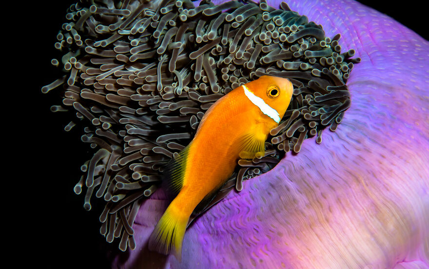 Nominee: Young Photographer Of The Year