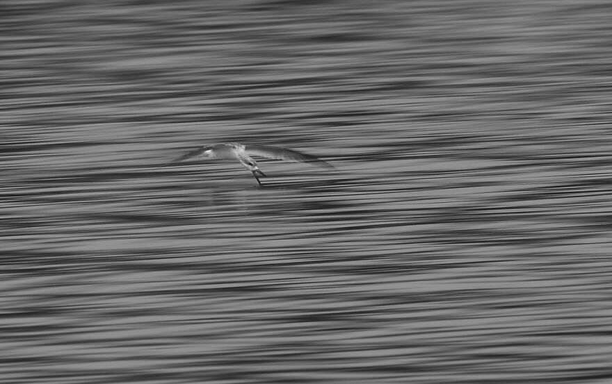 Nominee: Young Photographer Of The Year