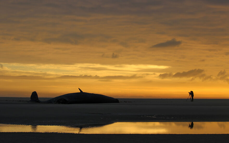Nominee: Conservation Photographer Of The Year