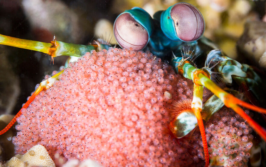 Nominee: Collective Portfolio Award