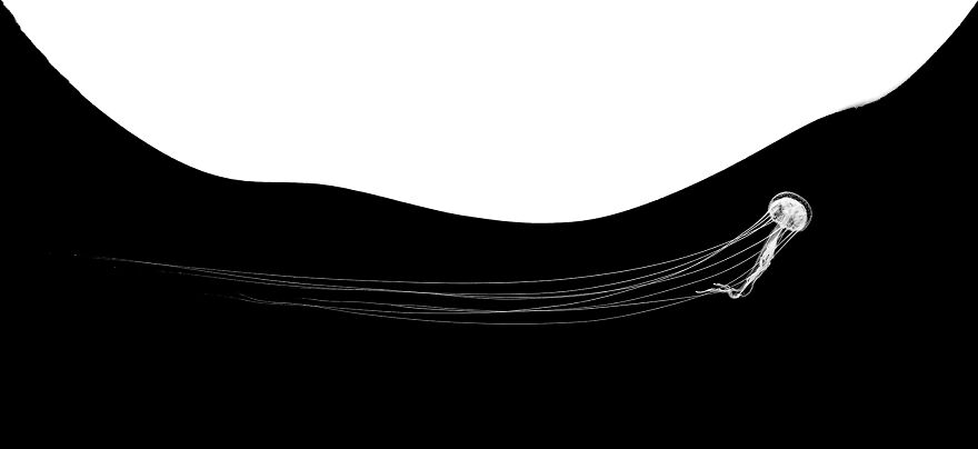 Nominee: Collective Portfolio Award