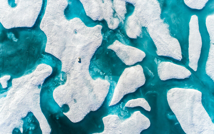 Nominee: Collective Portfolio Award