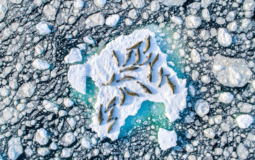 Nominee: Collective Portfolio Award