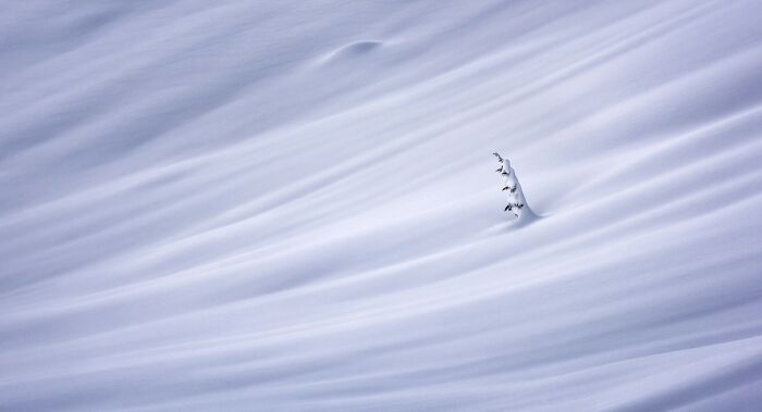 The Best Panoramic Pics Of The 2020 Epson International Pano Awards Have Been Announced, And They’re Truly Mesmerizing