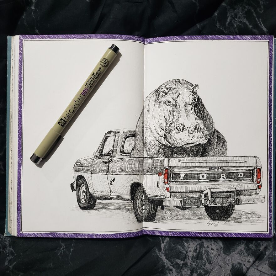 A Carpooling Hippopotamus