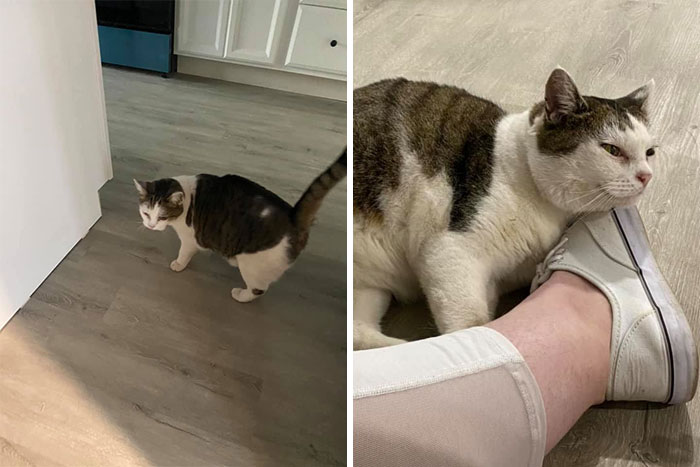 Um Ma’am??? This Is Not Your House?