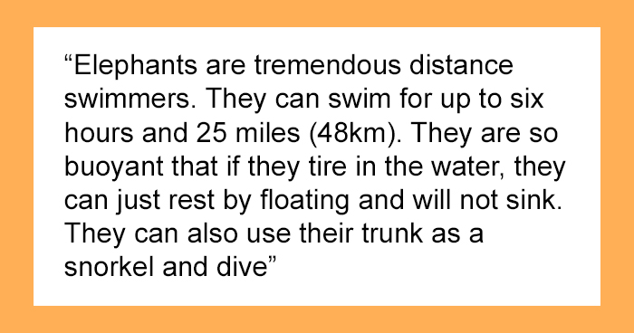 ‘Today I Learned’: 40 Interesting Things People Haven’t Learned At School