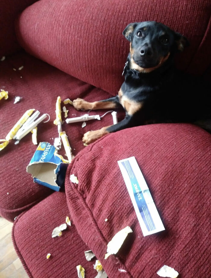 You're All Proud Of Me, Right???