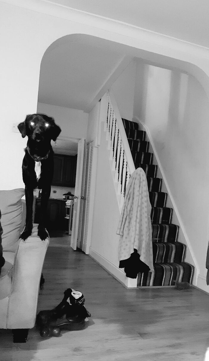 I'm Trying To Enjoy My Morning Coffee And #liamneeson Is Over Here Like....