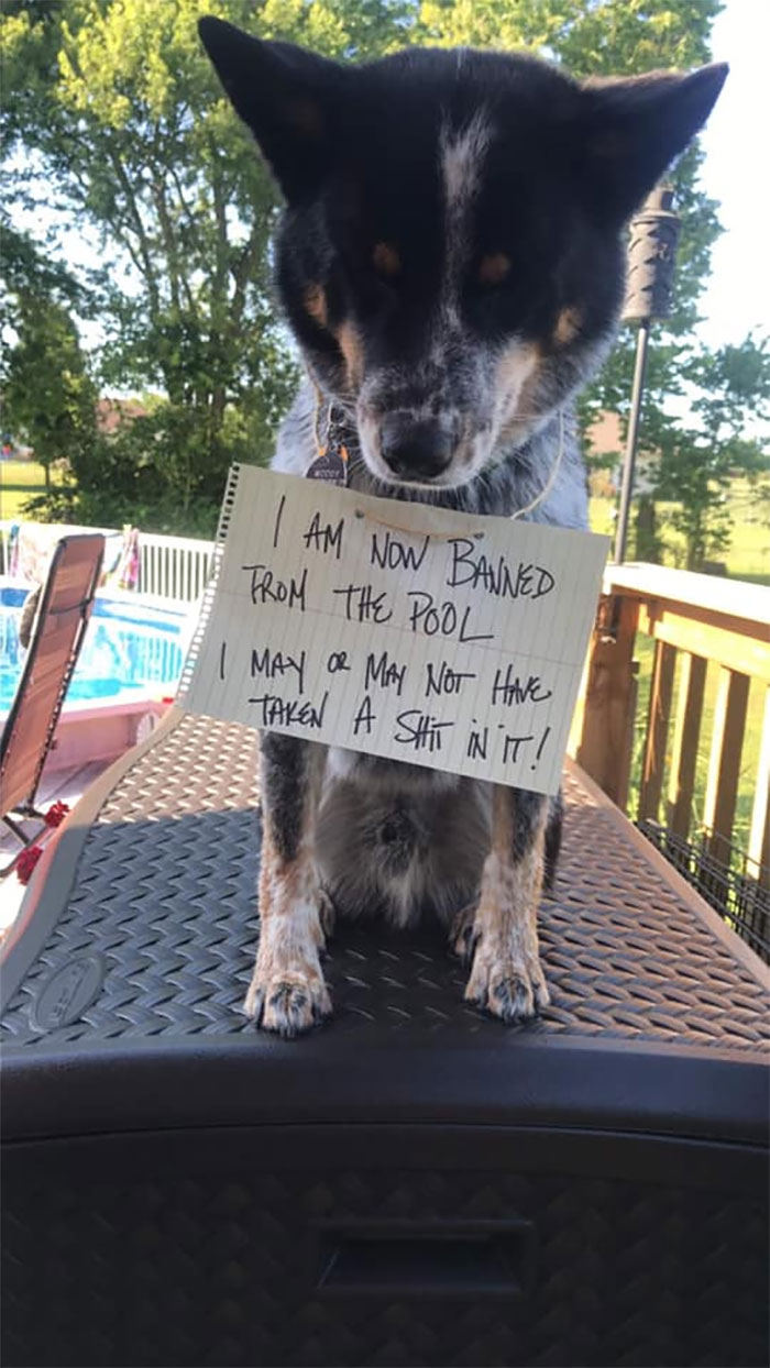 Hopefully He Learned From Last Year!