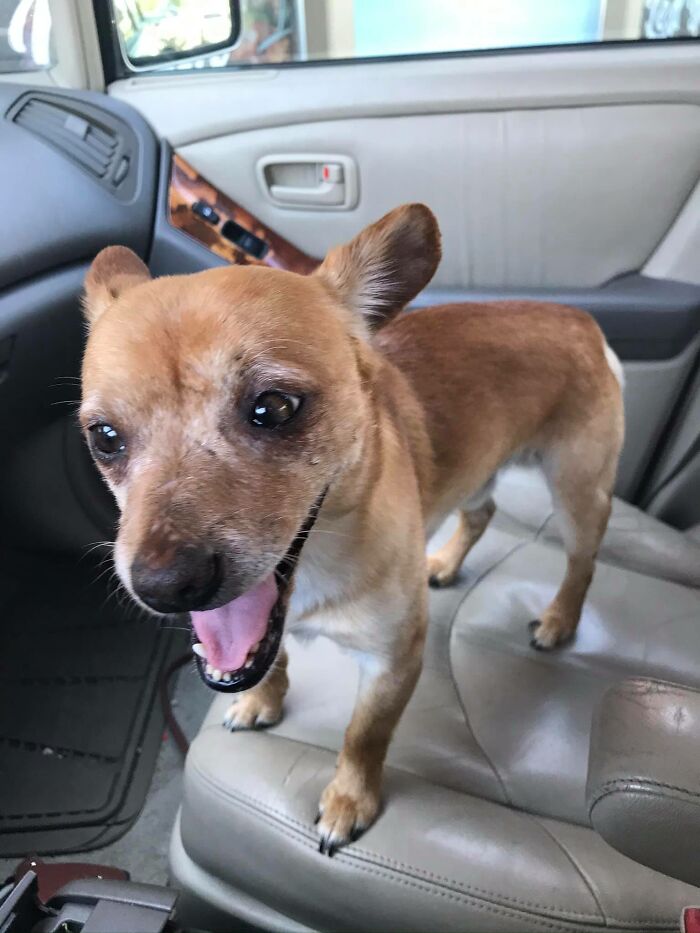 This Asshole Loves To Bite At Lumps Under The Blankets. Sometimes It’s A Hand, Sometimes It’s A Testicle.