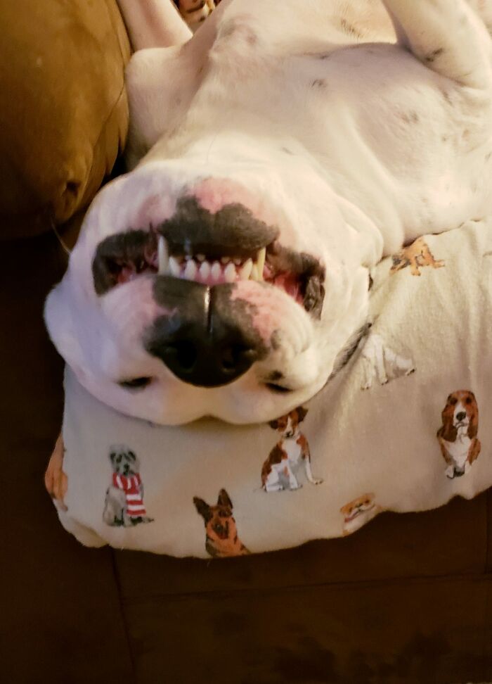 Shame This Butthole For Drinking My Coffee This Morning. It Was French Vanilla