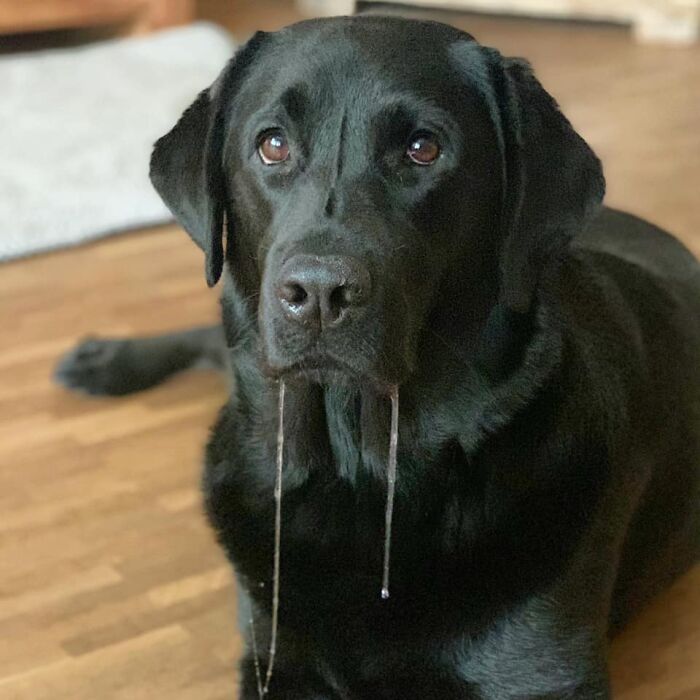 Nothing Going On Here, Please, Enjoy Your Dinner. No Need To Feel Bad. Ps. I Am Peeling Asparagus. This Is Bora