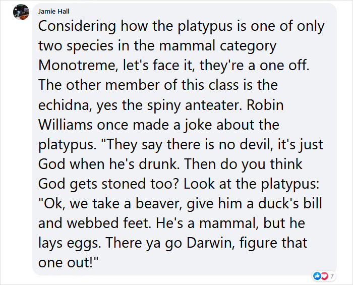 Scientists Just Realized That Platypuses Glow Under A UV Light, Further Adding To The Bizarreness Of The Animal Scientists Just Realized That Platypuses Glow Under A UV Light, Further Adding To The Bizarreness Of The Animal