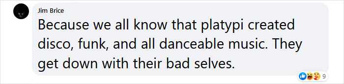 Scientists Just Realized That Platypuses Glow Under A UV Light, Further Adding To The Bizarreness Of The Animal