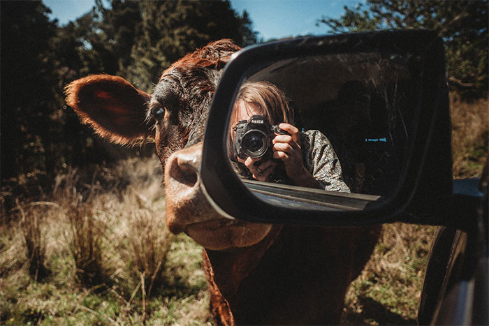 40 Of My Favorite Photographs About The Quarantine From The Magazine I Edit And Publish