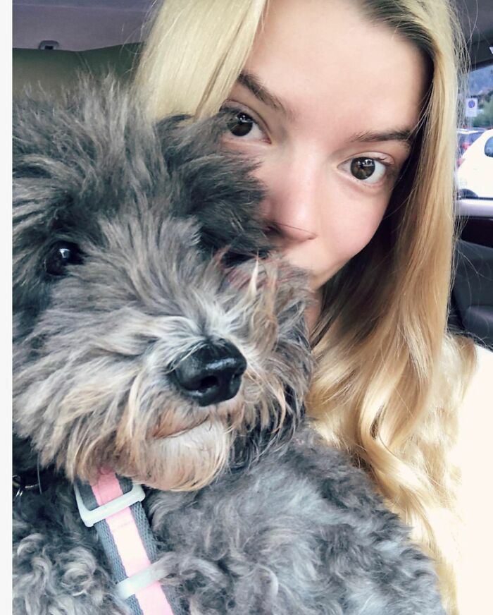 "I'm Weird-Looking": Anya Taylor-Joy Of 'The Queen's Gambit' Says She's Not Beautiful Enough To Be In Films "I'm Weird-Looking": Anya Taylor-Joy Of 'The Queen's Gambit' Says She's Not Beautiful Enough To Be In Films