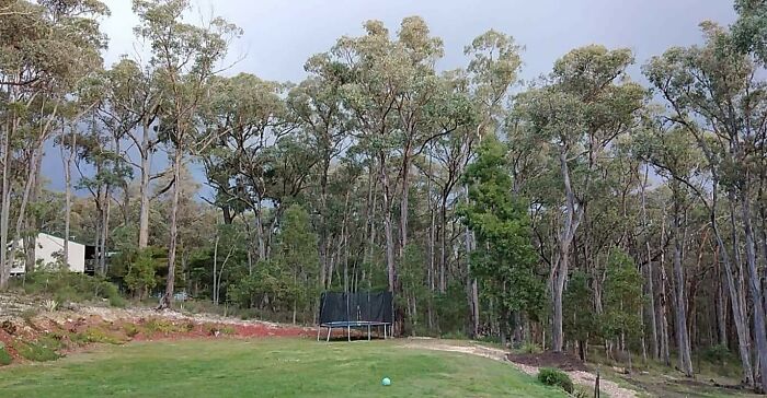 My Yard, Storm Coming