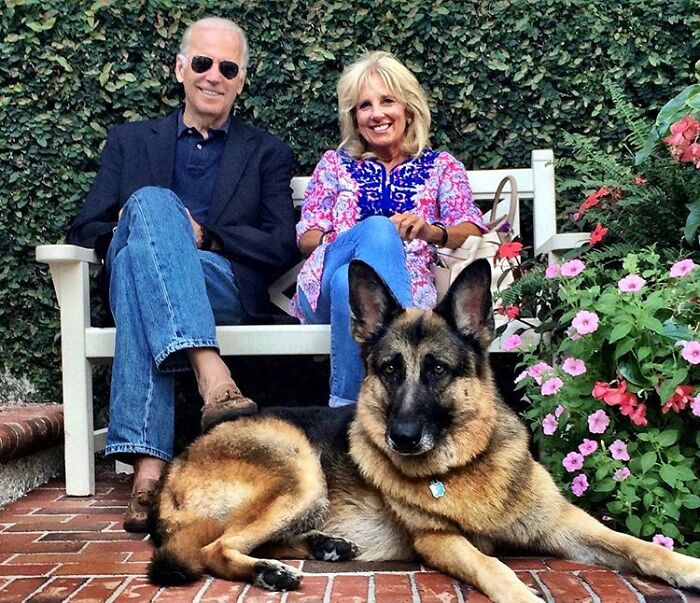 Turns Out, Joe Biden's Dog Major Will Be The First Shelter Dog To Live In The White House In History Turns Out, Joe Biden's Dog Major Will Be The First Shelter Dog To Live In The White House In History