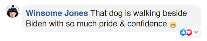 Turns Out, Joe Biden's Dog Major Will Be The First Shelter Dog To Live In The White House In History Turns Out, Joe Biden's Dog Major Will Be The First Shelter Dog To Live In The White House In History
