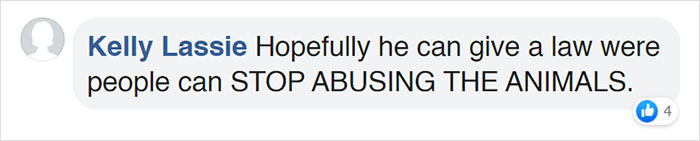 Turns Out, Joe Biden's Dog Major Will Be The First Shelter Dog To Live In The White House In History Turns Out, Joe Biden's Dog Major Will Be The First Shelter Dog To Live In The White House In History