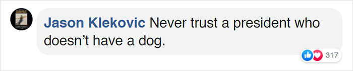 Turns Out, Joe Biden's Dog Major Will Be The First Shelter Dog To Live In The White House In History Turns Out, Joe Biden's Dog Major Will Be The First Shelter Dog To Live In The White House In History