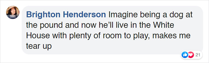 Turns Out, Joe Biden's Dog Major Will Be The First Shelter Dog To Live In The White House In History Turns Out, Joe Biden's Dog Major Will Be The First Shelter Dog To Live In The White House In History