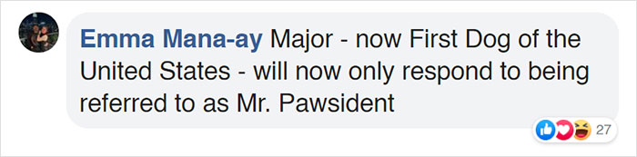Turns Out, Joe Biden's Dog Major Will Be The First Shelter Dog To Live In The White House In History Turns Out, Joe Biden's Dog Major Will Be The First Shelter Dog To Live In The White House In History