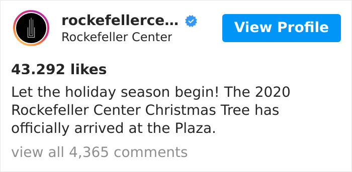 Rockefeller Center Put Up A Christmas Tree, Everyone Started Mocking It, So They Clapped Back