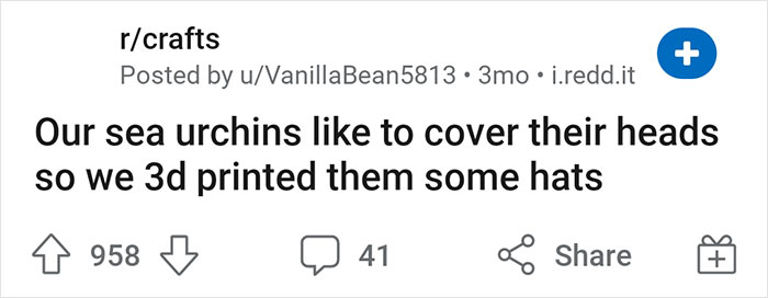 Turns Out, Sea Urchins Like To Use Shells As Hats, So People 3D-Print Them Some Cool Ones Turns Out, Sea Urchins Like To Use Shells As Hats, So People 3D-Print Them Some Cool Ones