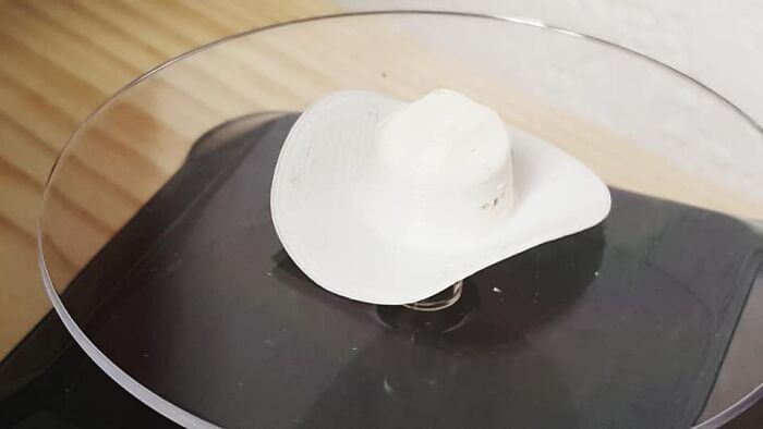 Turns Out, Sea Urchins Like To Use Shells As Hats, So People 3D-Print Them Some Cool Ones