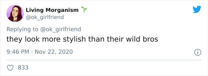 Turns Out, Sea Urchins Like To Use Shells As Hats, So People 3D-Print Them Some Cool Ones