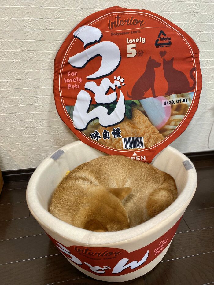 This Shiba Inu Napping Inside A Potato Chip Bag-Like Bed Is The Daily Dose Of Internet You Need Today (16 Pics) This Shiba Inu Napping Inside A Potato Chip Bag-Like Bed Is The Daily Dose Of Internet You Need Today (16 Pics)