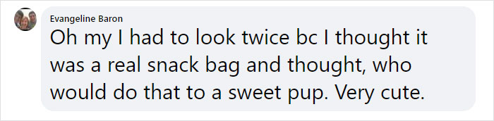 This Shiba Inu Napping Inside A Potato Chip Bag-Like Bed Is The Daily Dose Of Internet You Need Today (16 Pics)