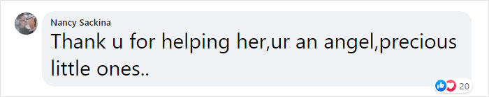 Stray Cat Brings All Her Babies To A Woman Who Gave Her Food And Helped Her