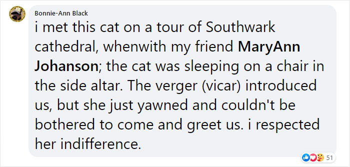 Cat Who Lived In A Church For 12 Years Passes Away, The Church Gives Her An Entire Memorial Service Cat Who Lived In A Church For 12 Years Passes Away, The Church Gives Her An Entire Memorial Service