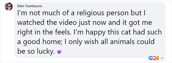 Cat Who Lived In A Church For 12 Years Passes Away, The Church Gives Her An Entire Memorial Service Cat Who Lived In A Church For 12 Years Passes Away, The Church Gives Her An Entire Memorial Service