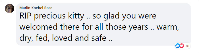 Cat Who Lived In A Church For 12 Years Passes Away, The Church Gives Her An Entire Memorial Service Cat Who Lived In A Church For 12 Years Passes Away, The Church Gives Her An Entire Memorial Service