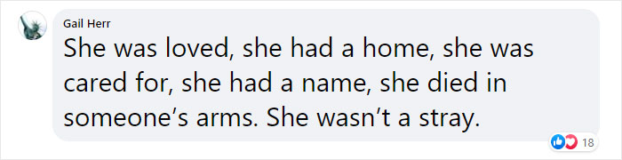 Cat Who Lived In A Church For 12 Years Passes Away, The Church Gives Her An Entire Memorial Service Cat Who Lived In A Church For 12 Years Passes Away, The Church Gives Her An Entire Memorial Service