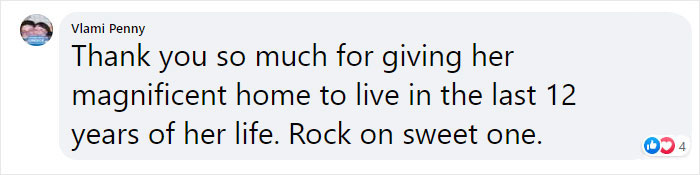 Cat Who Lived In A Church For 12 Years Passes Away, The Church Gives Her An Entire Memorial Service Cat Who Lived In A Church For 12 Years Passes Away, The Church Gives Her An Entire Memorial Service