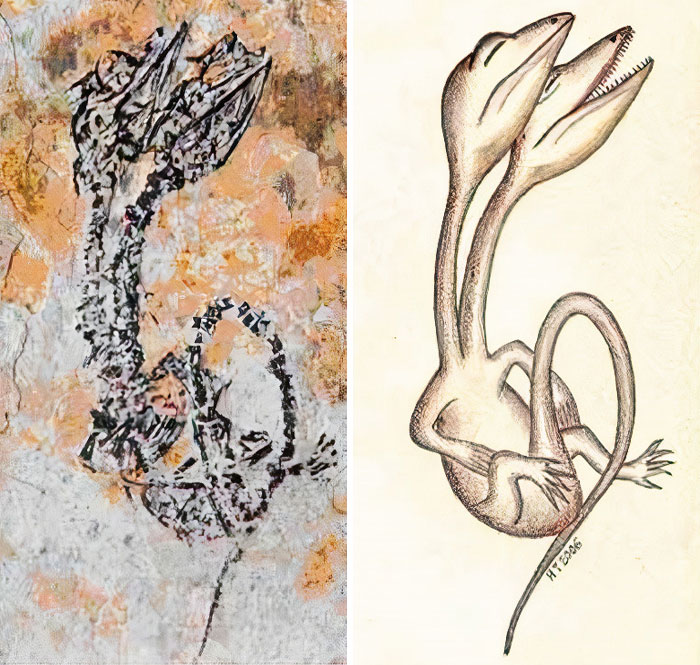 A Not One, But Two-Headed Reptile From The Cretaceous Age Of China