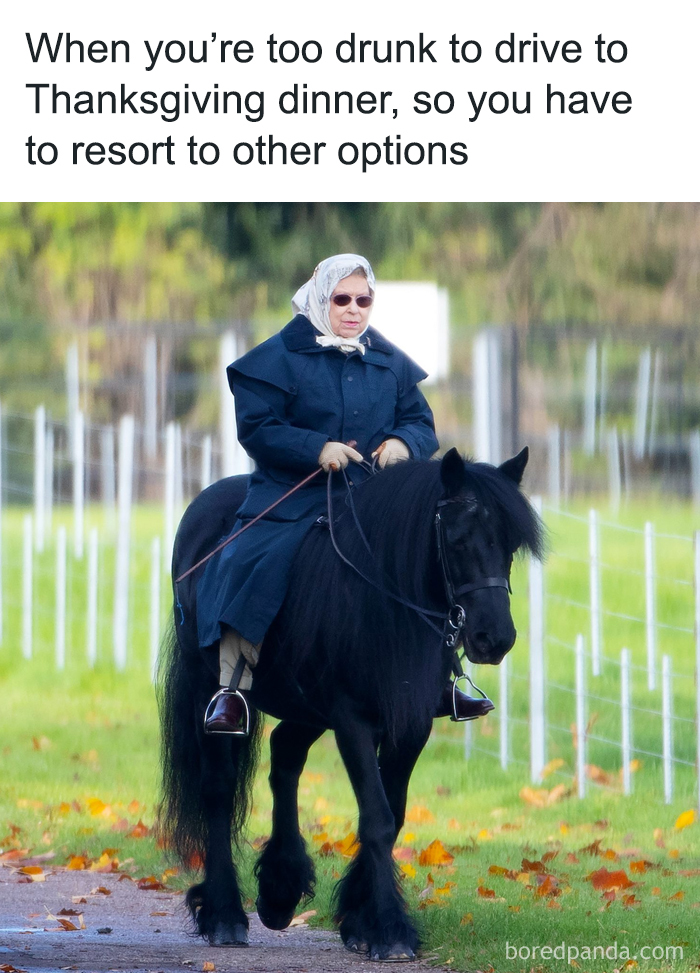 A person riding a horse with caption "too drunk to drive" as a social distancing Thanksgiving meme.