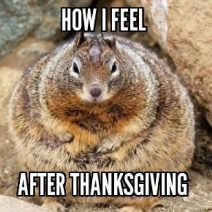 Thanksgiving-Memes-Jokes