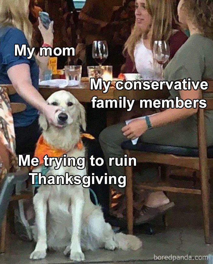 Dog with funny captions about ruining Thanksgiving with family while social distancing, sitting at a table indoors.