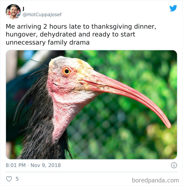 Thanksgiving meme with a bird looking disheveled, representing relatable social distancing humor.