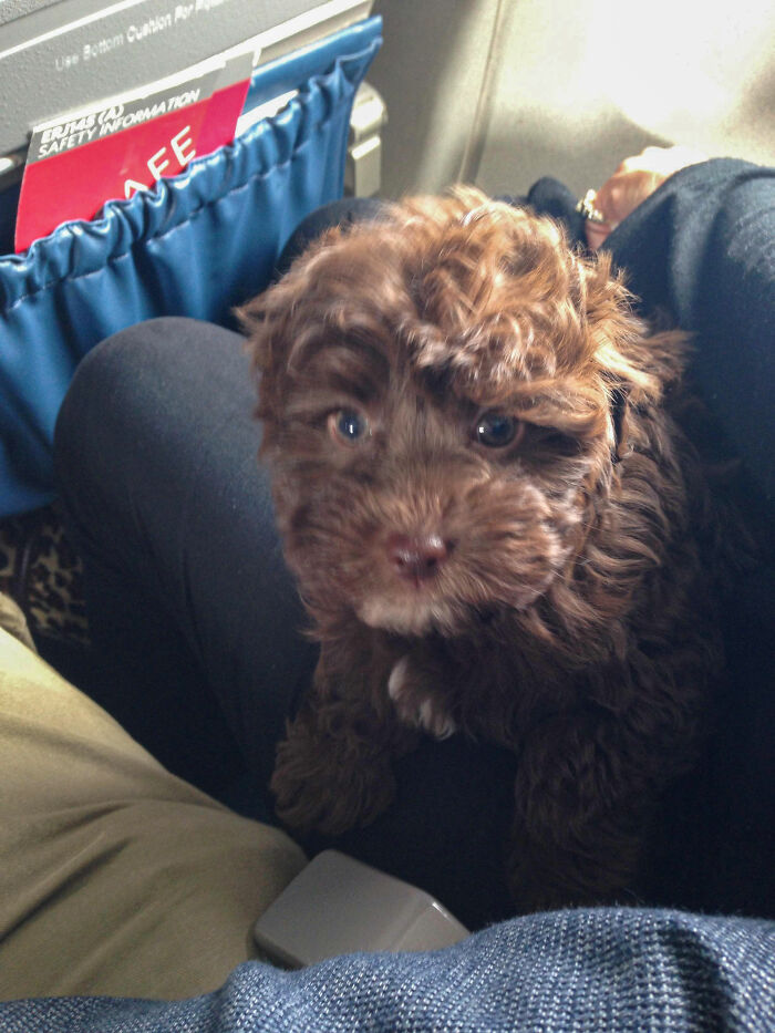 The Passenger Next To Me On My Plane Kept Trying To Talk To Me